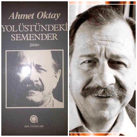Ahmet Oktay'a ödül 